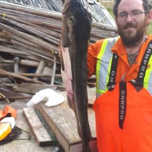 Meet your Posher, Brad